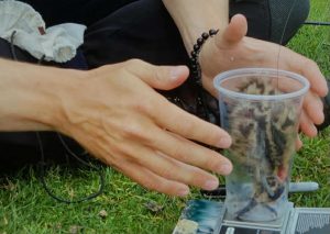 07694c0e 4143 4352 b95f 96654651d524