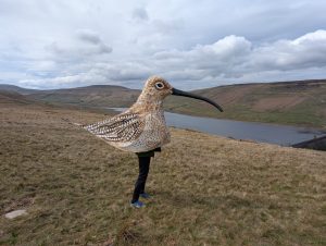 Image shows man dressed as a giant curlew against the backdrop of the Nidderdale Valley in Yorkshire