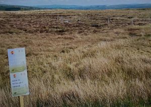 1a436111 6dc4 4471 a62a c8d64f350a9f