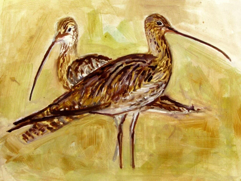 4. curlew symetry 1 mark gibbs sendout geltsdale peat, ink watercolour and acrylic gold copy