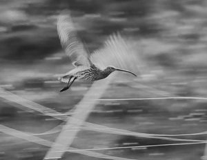 4c2b29df 5ffb 43fc a879 d5c803a55ccb