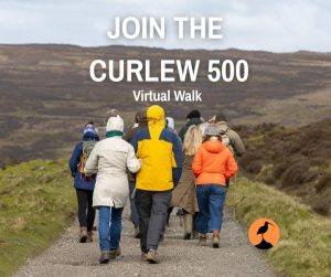 656783624 1270271648584235 8090728927585794144 n