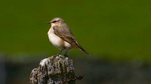 6a1ef78f d1d3 49eb b34f d76dc287a0f3