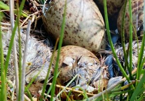 949d7380 532c 4bd8 b77a b90524b43a7a