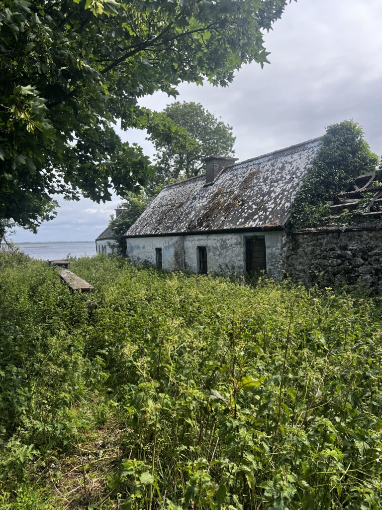 A photo of abandoned stone cottages, surrounded by vegetation.