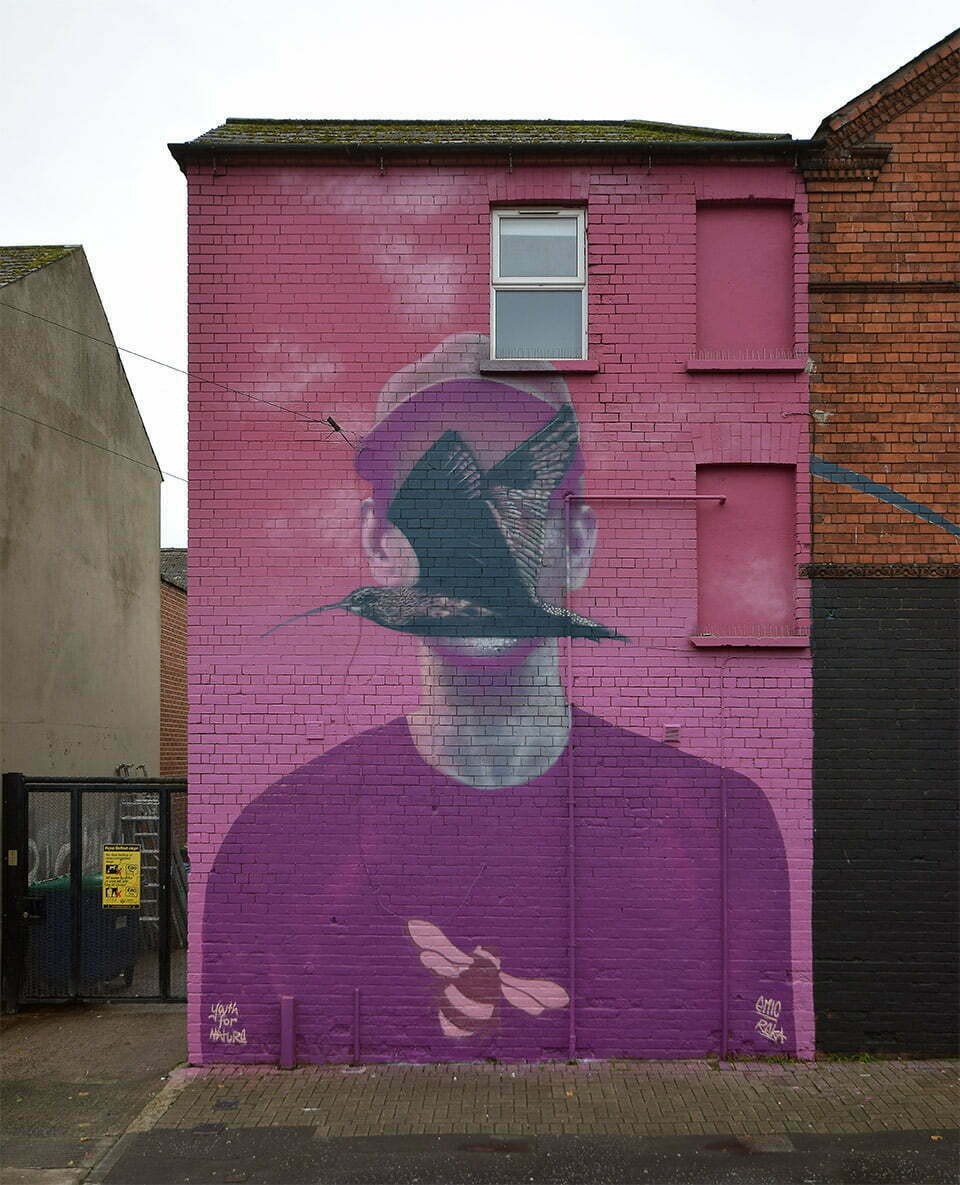 Belfast Curlew Mural