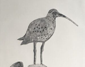 Colograph Curlew Print detail