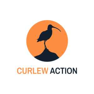Curlew Action Primary Logo Portrait RGB Digital