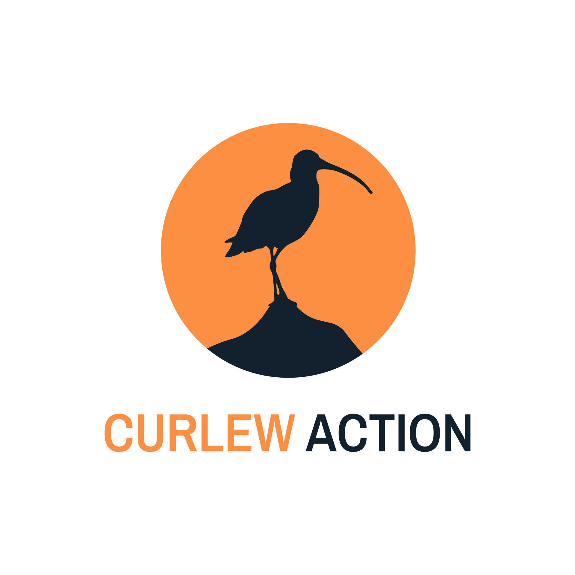 Curlew Action Primary Logo Portrait Rgb Digital 1