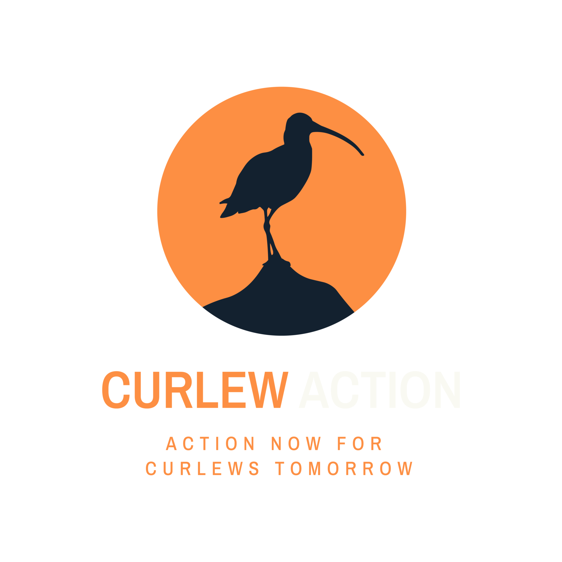 Curlew Action Primary Logo Portrait Rgb Digital 10