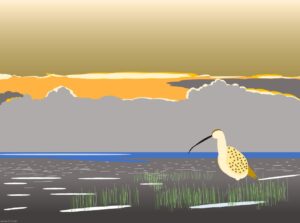 Curlew at Sunrise (James Currell)