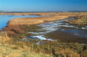 A photo of habitats at Farlington Marshes