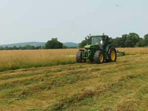 A tractor cutting grass for silage