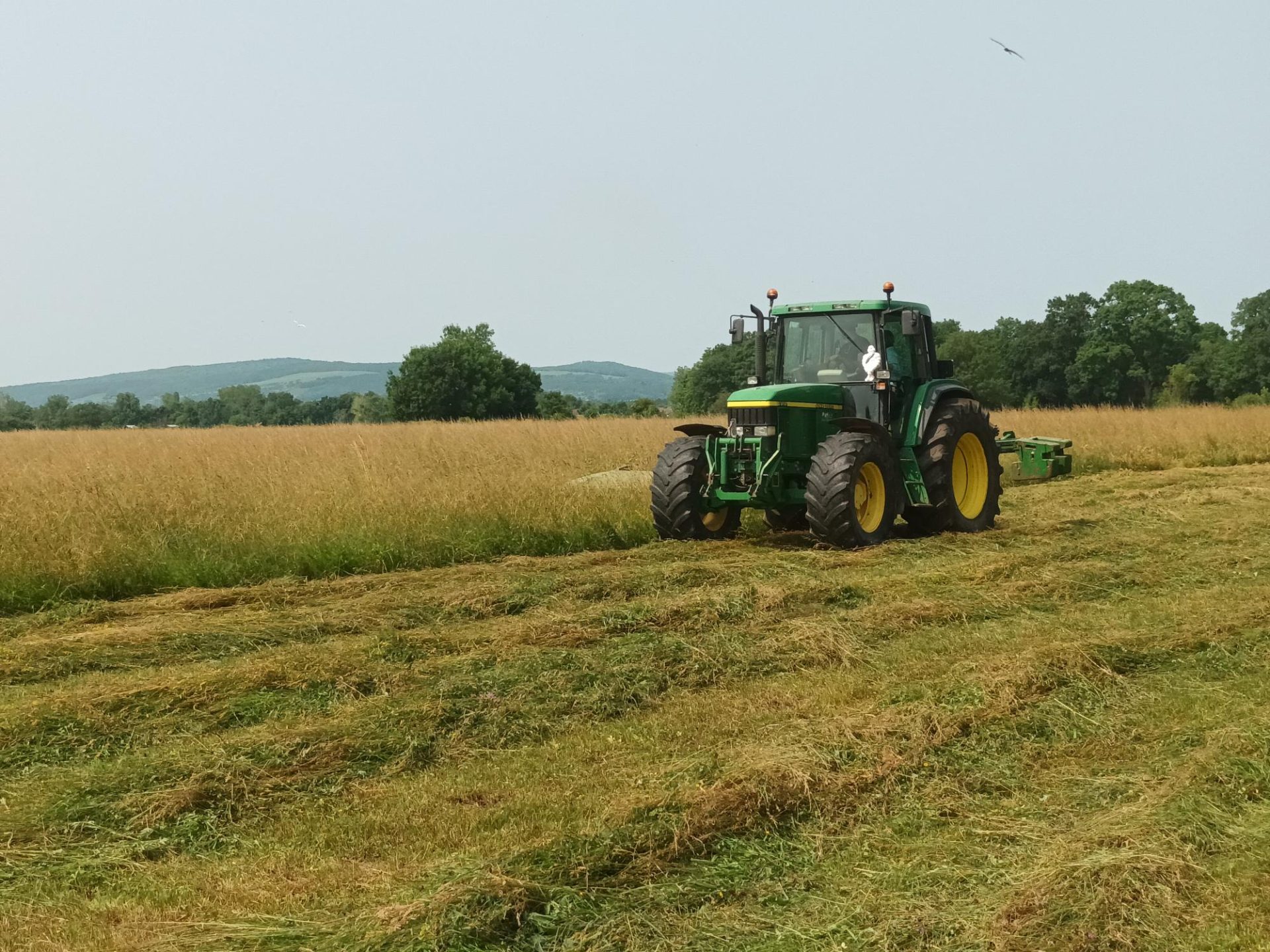 A tractor cutting grass for silage