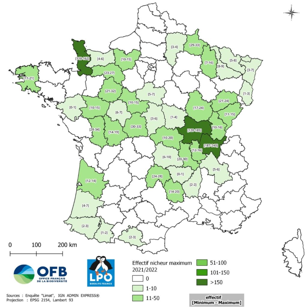 Map of density of Curlew across France