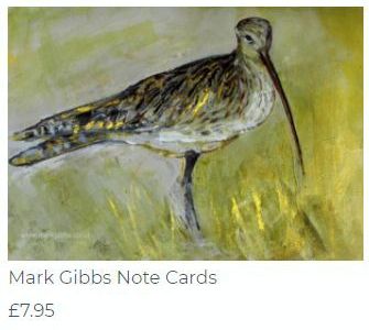 Mark Note Cards b