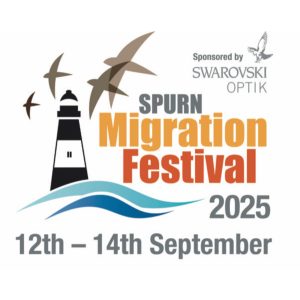 Migfest logo 2025 300x300