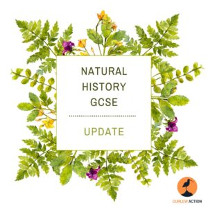 A graphic with a square centre saying Natural History GCSE Update, surrounded by greenery and flowers, with the Curlew Action logo
