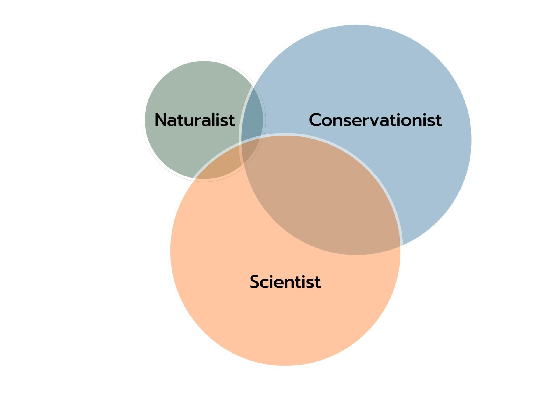 Naturalist, Conservationist, Scientist (1)