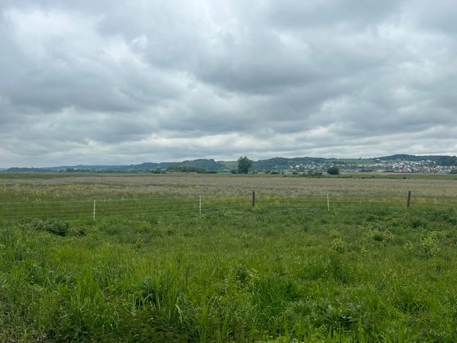 Picture15