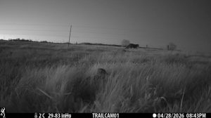 Picture2