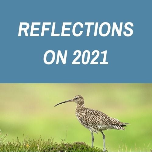 REFLECTIONS ON 2021