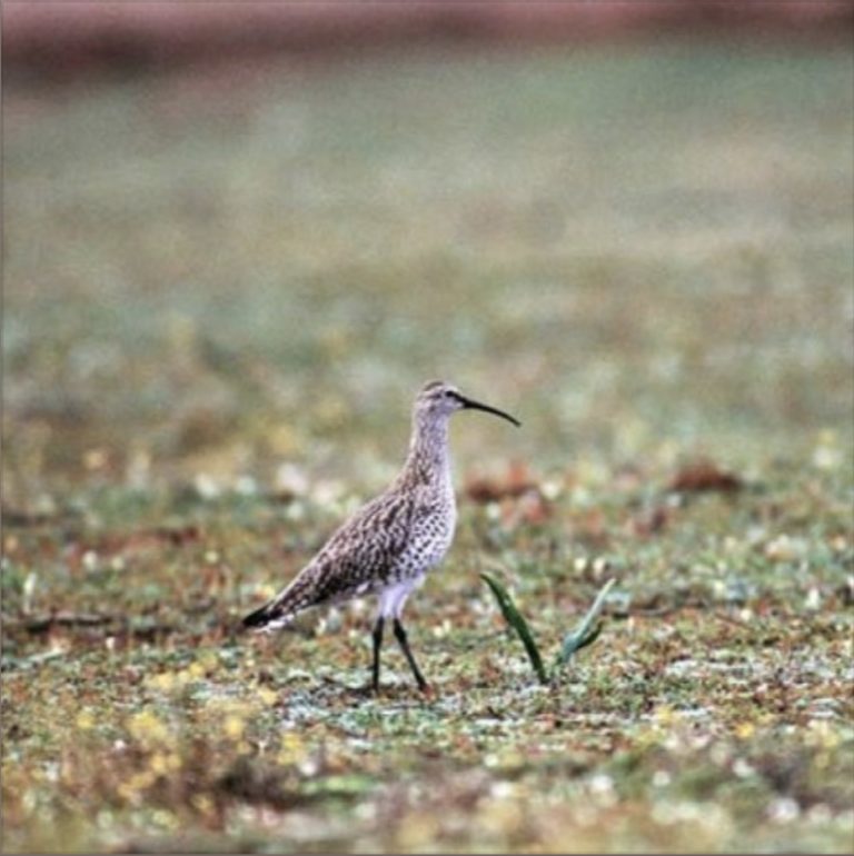 Screenshot 2021 12 01 at 16.54.00 768x770