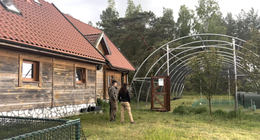 A group of people standing outside next to a building, and next to an open-air polytunnel like structure for keeping young birds in