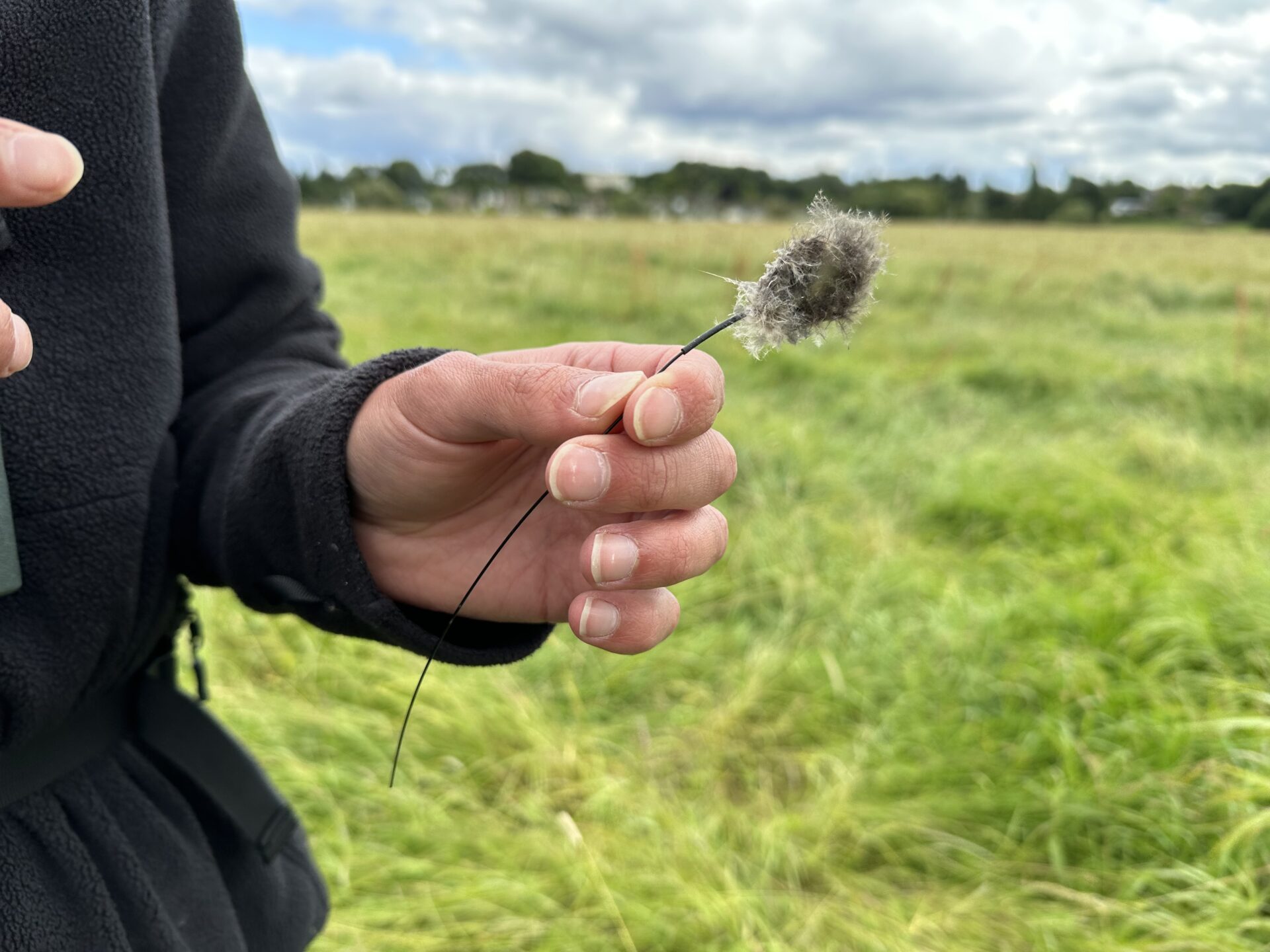 A hand holding a tag recovered from a Curlew