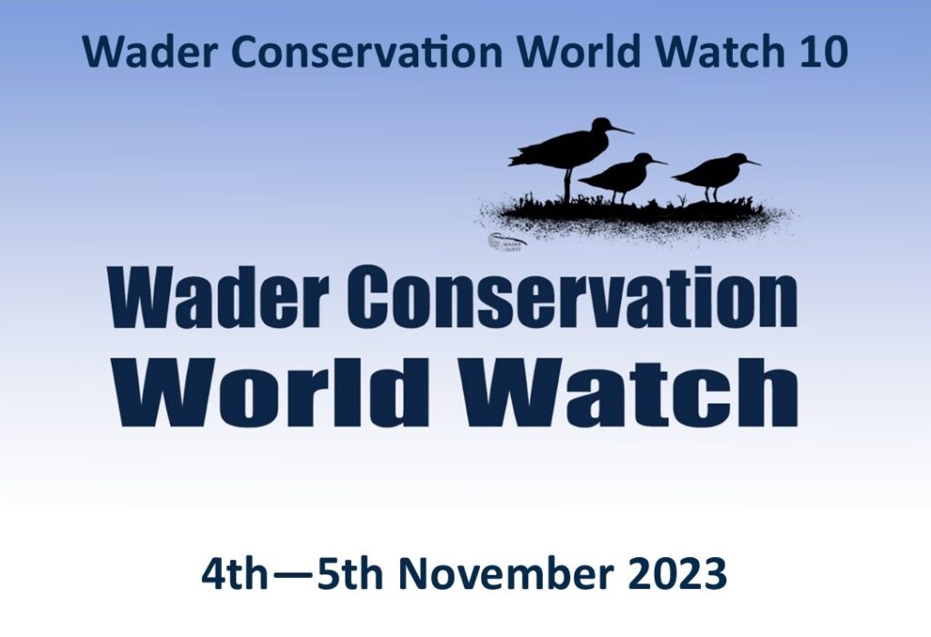 Graphic for the Wader Conservation World Watch 10.