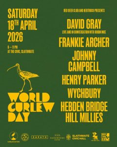 World Curlew Day26 insta4