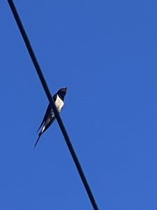 B743448d 31e0 431f bde5 a0293bd7b629