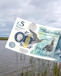 Bank note