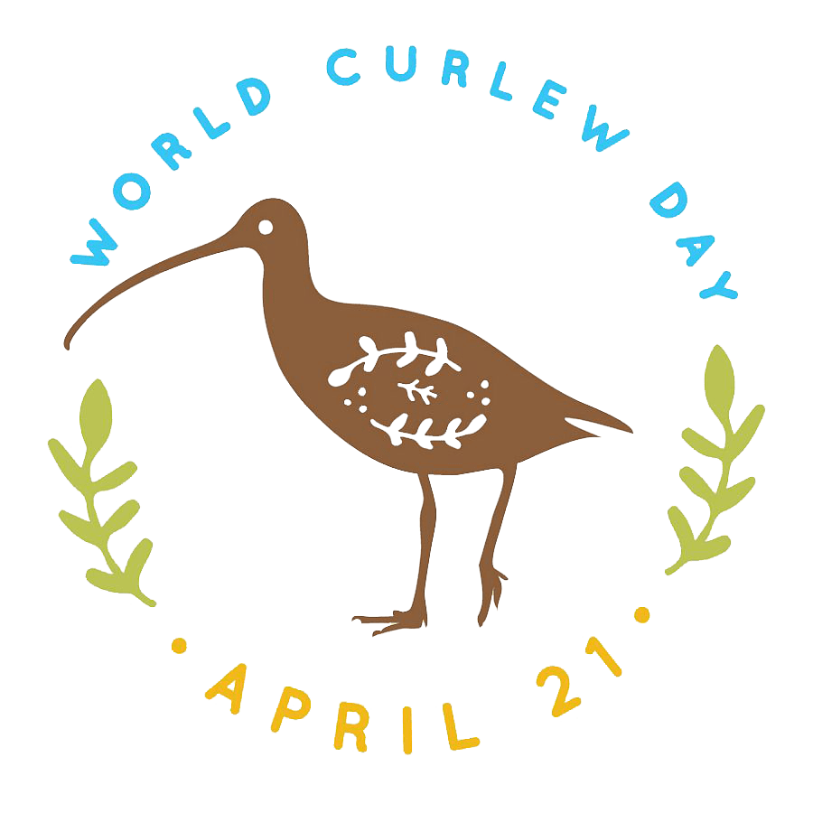 The World Curlew Day logo, featuring the brown silhouette of a Eurasian Curlew. Blue text above says (in all caps) World Curlew Day. Orange text below says (in all caps April 21). On each side of the Curlew, between the two pieces of text to form a circle, are two green branches and leaves.