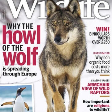 Bbc Wildlife Magazine March 2016 Cover