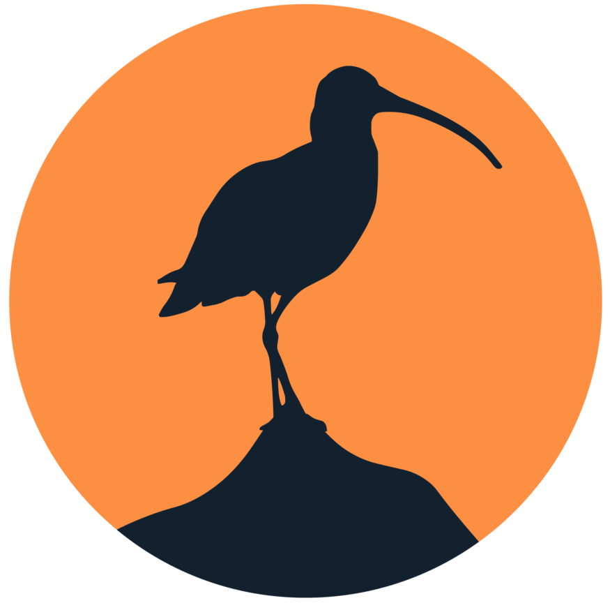 Cropped Curlew Action Primary Logo Portrait Rgb Digital 1.png
