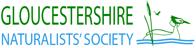 Gloucestershire Naturalists’ Society