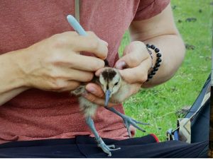 F7a0740e bd57 4ddd 87e6 809f357a658e