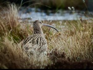 Fc8ece85 b075 4c22 82c1 697e57b16da3